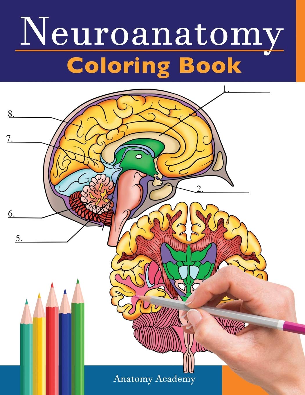 Neuroanatomy Coloring Book (Paperback)