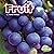 Fruit (Plant Parts)