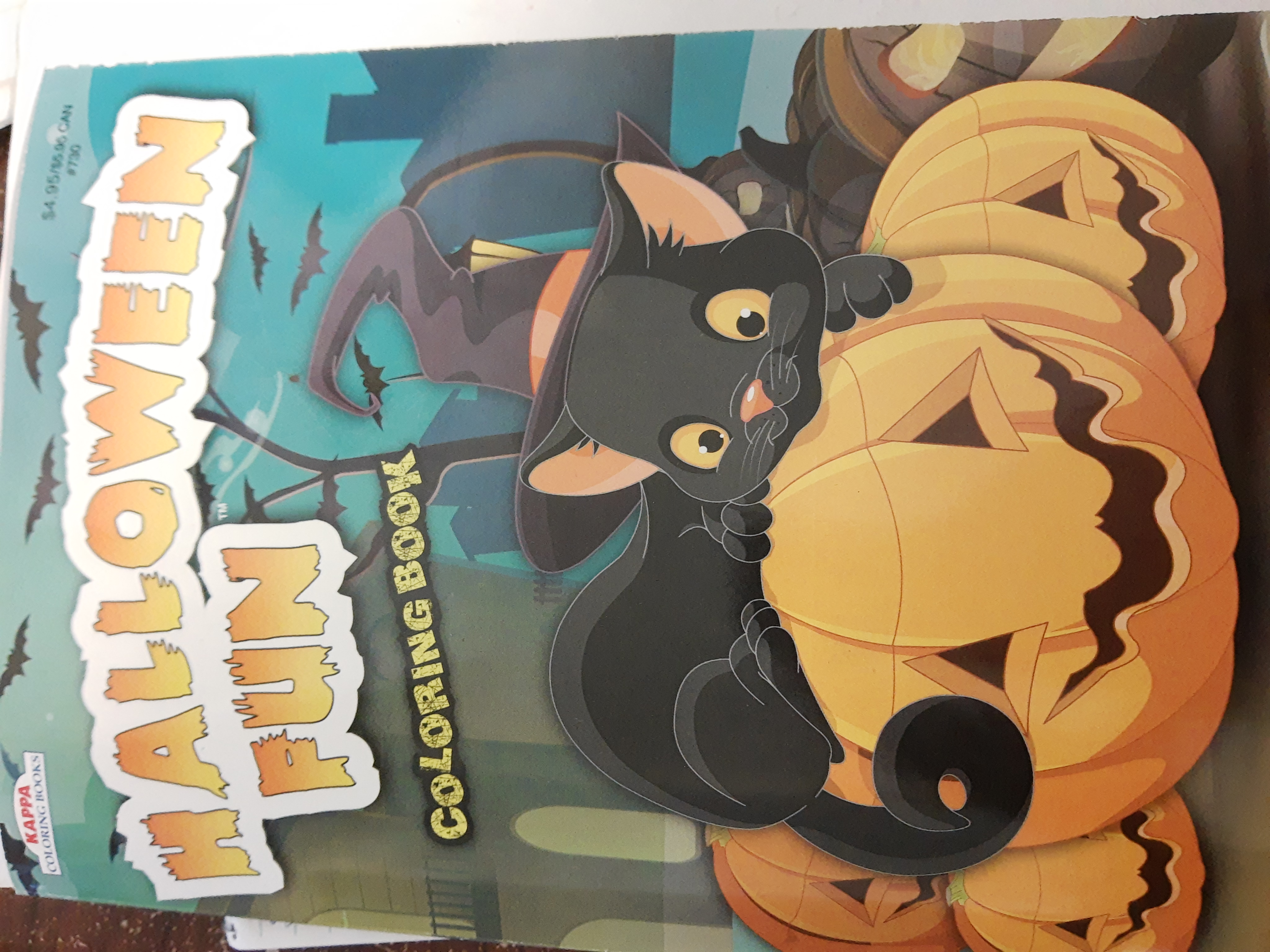 HALLOWEEN FUN COLORING BOOK (Paperback)
