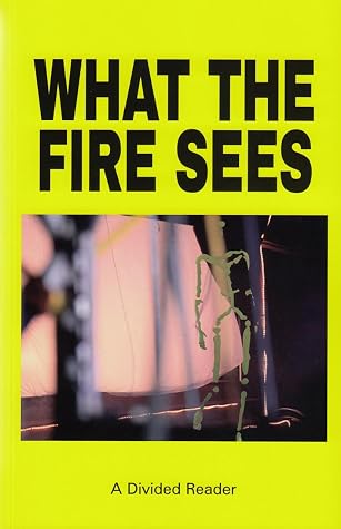 What the Fire Sees