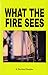 What the Fire Sees by Divided Publishing