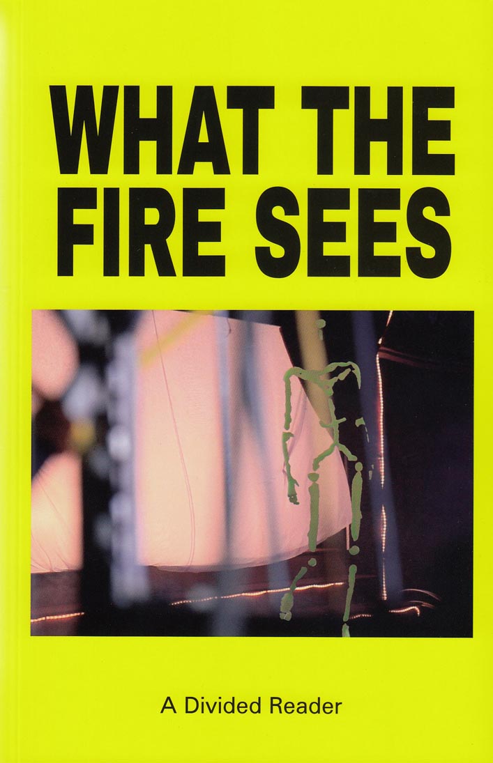 What the Fire Sees (Paperback)