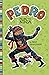 Pedro the Ninja