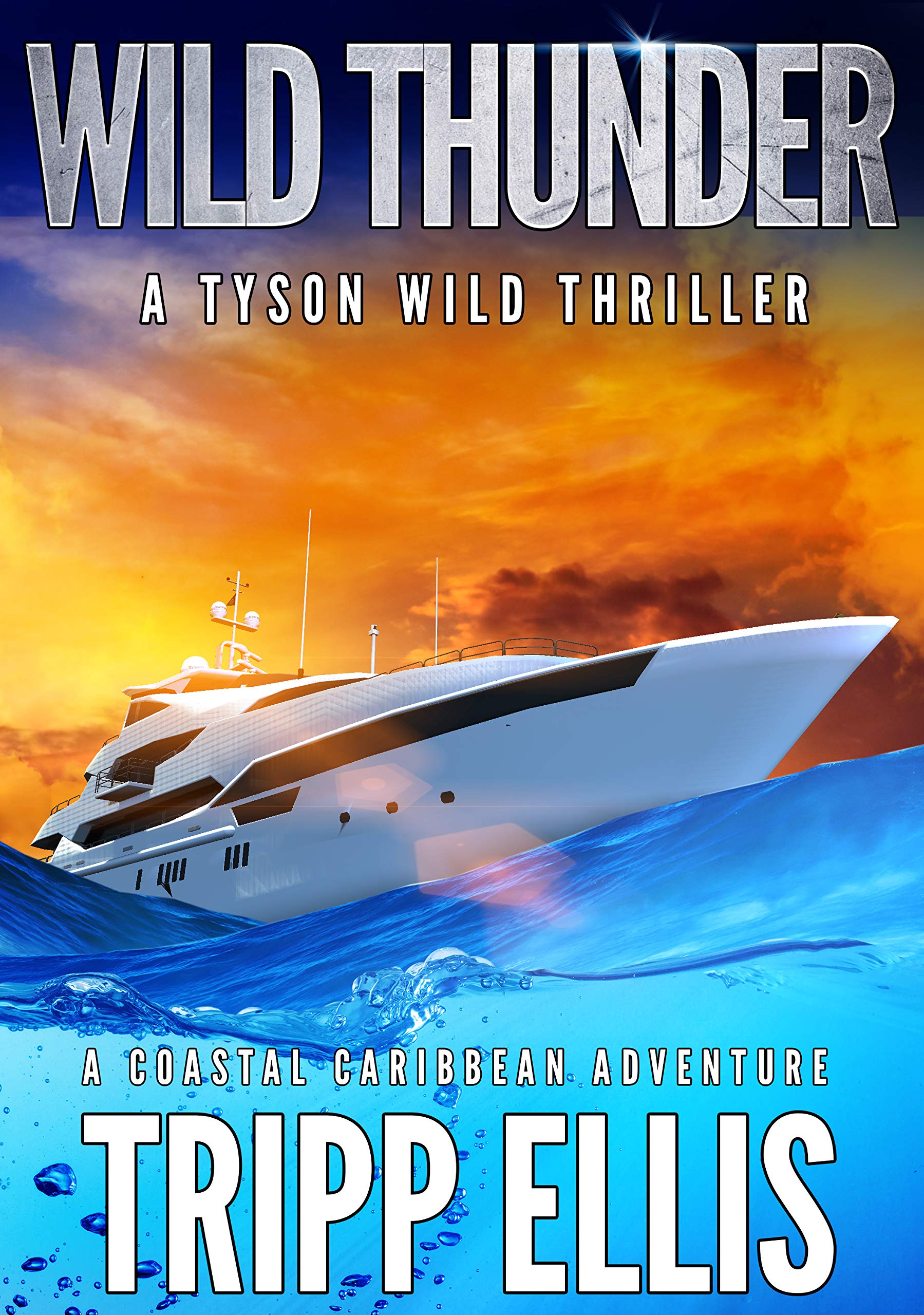 Wild Thunder (Tyson Wild Thriller, #21)