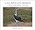 Galapagos Birds: A Photogra...