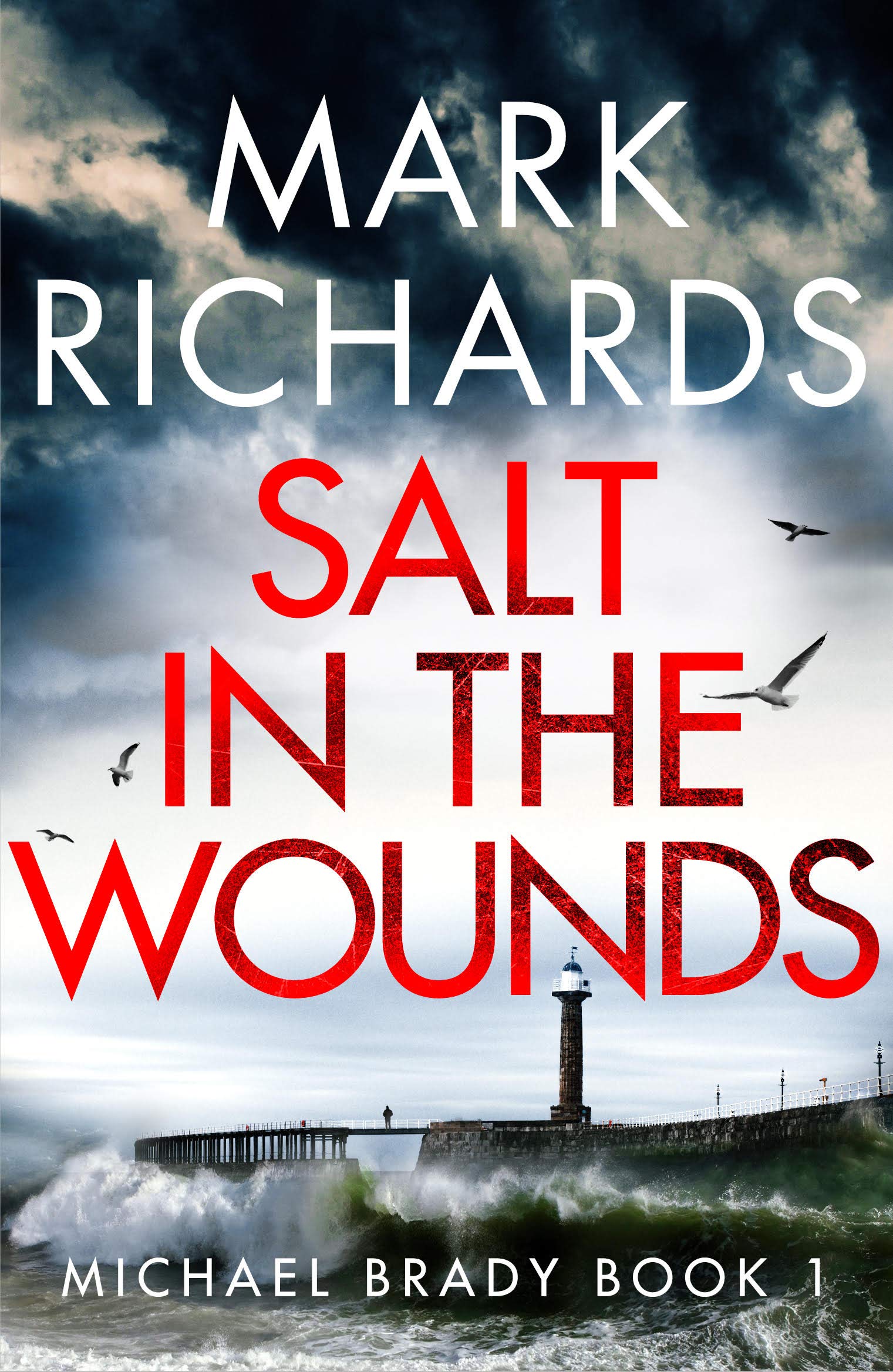 Salt in the Wounds (Michael Brady #1)