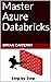 Master Azure Databricks Ste...