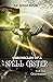 Chronicles of a Spell Caster Book One - Orientation by J.J. Singleton