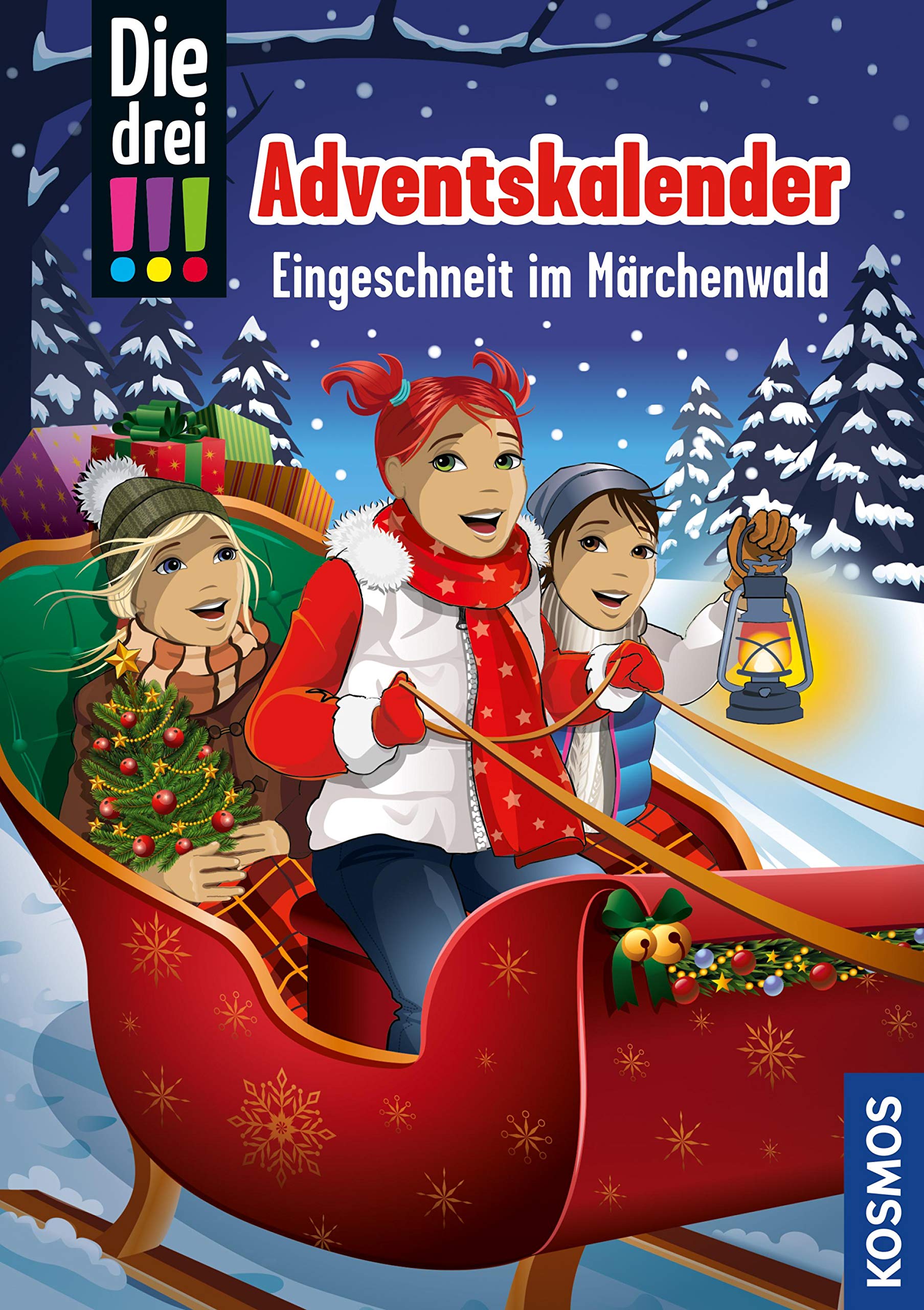 Eingeschneit im Märchenwald (Die drei !!! Weihnachtstitel)