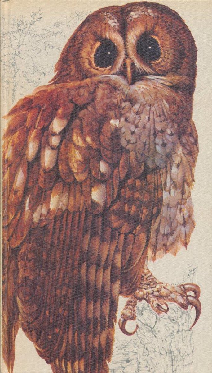 Het Beste Vogelboek (Hardcover)