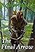Robin Hood: The Final Arrow...
