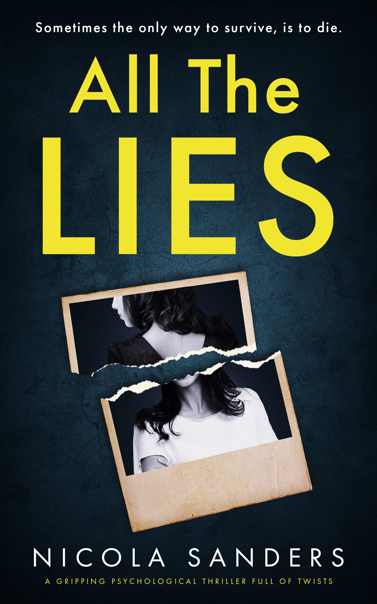 All the Lies (ebook)