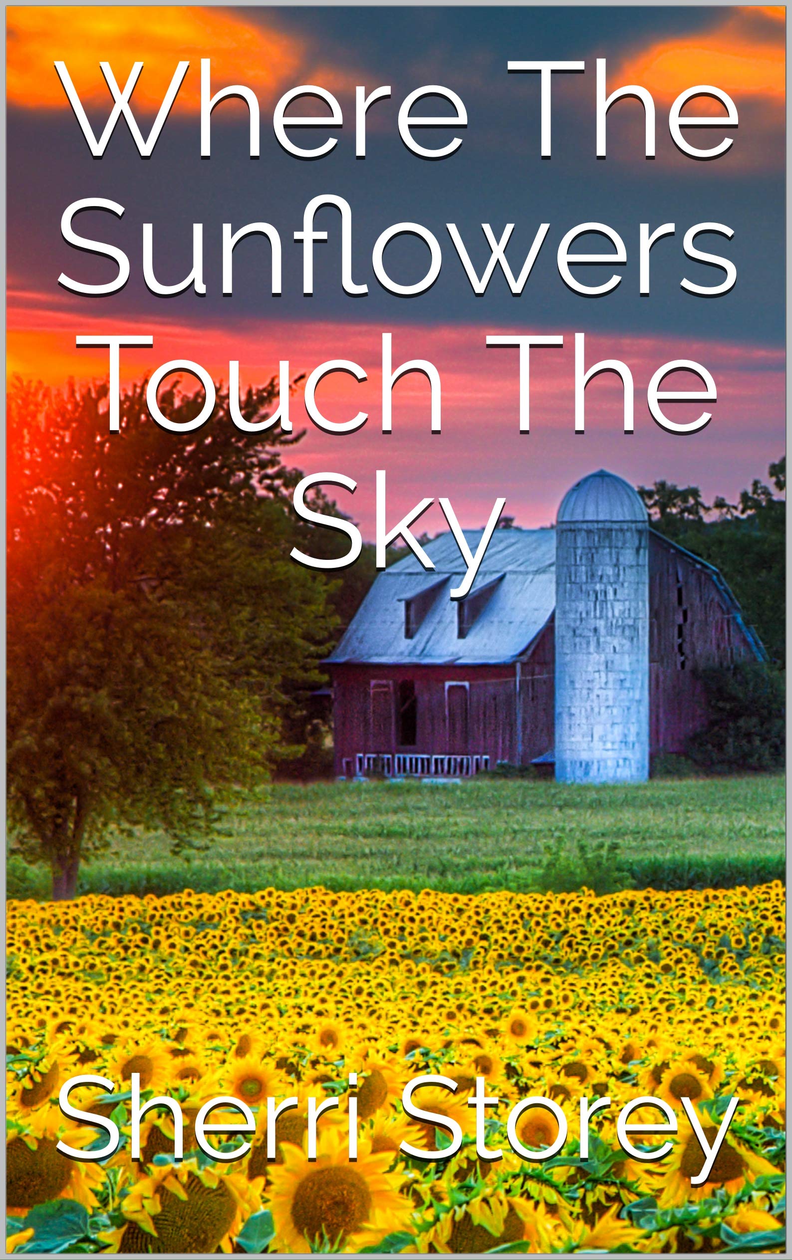 Where The Sunflowers Touch The Sky (Tierney Logan Village #2)