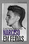 Book cover for Narciso em férias (Portuguese Edition)