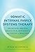 Somatic Internal Family Systems Therapy: Awareness, Breath, Resonance, Movement and Touch in Practice