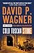 Cold Tuscan Stone (Rick Montoya Italian Mysteries, 1)