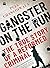 Gangster on the Run by Puja Changoiwala