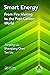 Smart Energy: From Fire Making to the Post-Carbon World