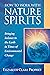 How to Work with Nature Spirits: Bringing Balance to the Earth in Times of Environmental Change (Pocket Guides to Practical Spirituality)