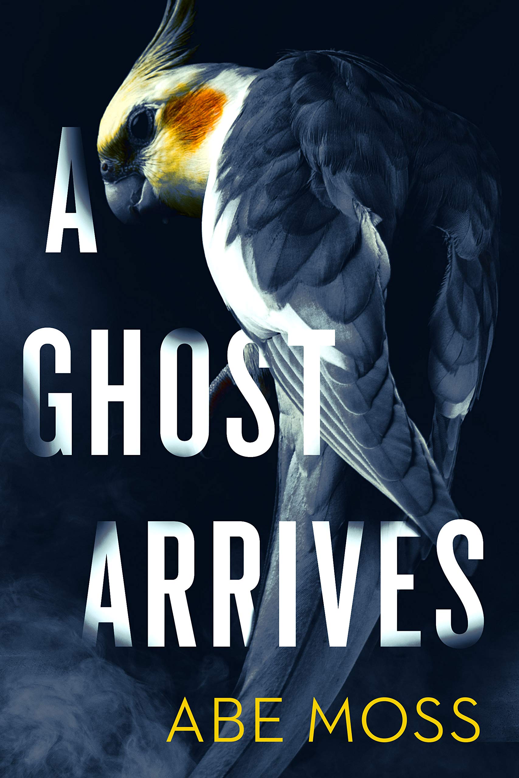 A Ghost Arrives (Kindle Edition)