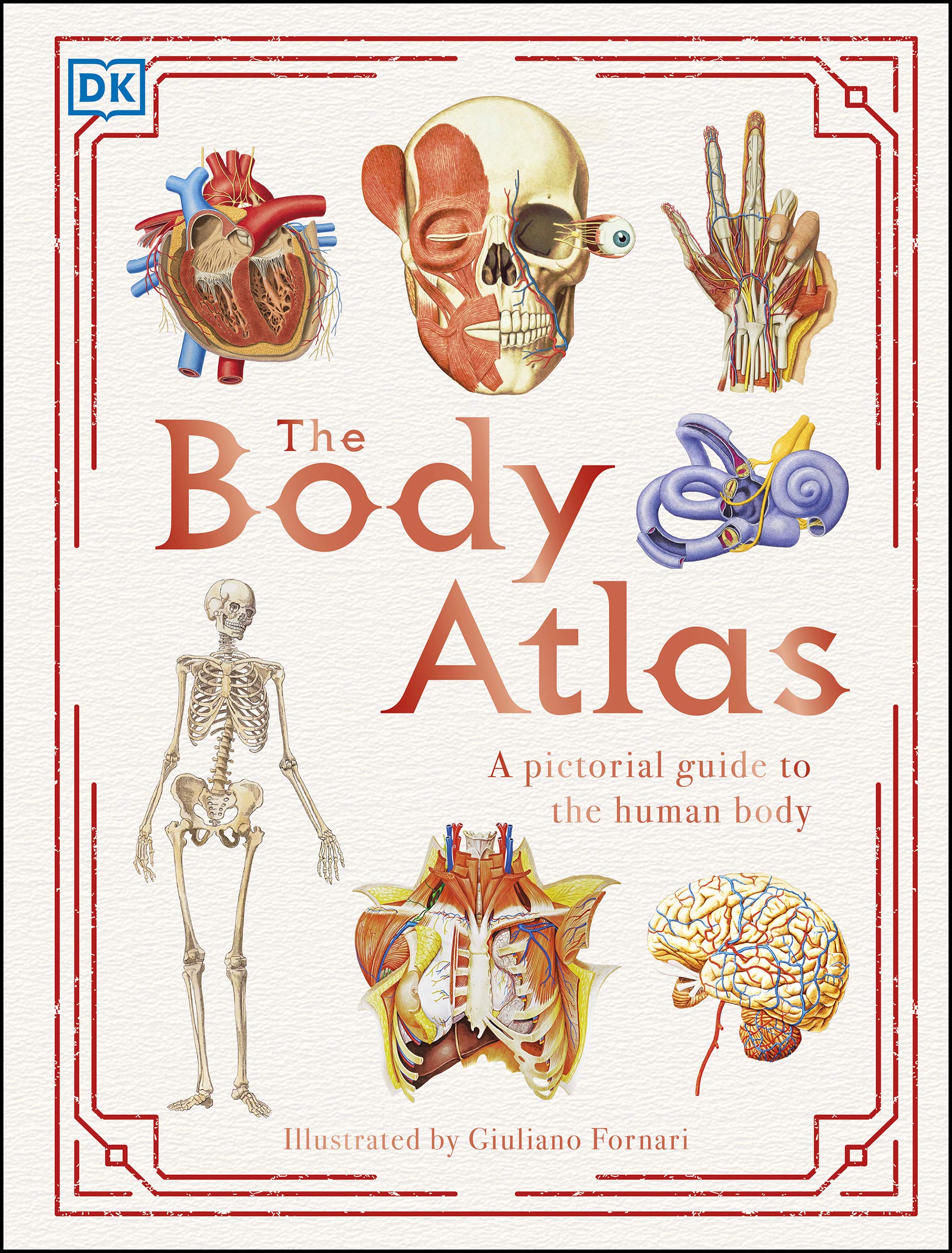 The Body Atlas: A Pictorial Guide to the Human Body (DK Pictorial Atlases)