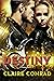Destiny (Timewalkers Book 1)