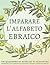 Imparare l'alfabeto ebraico...