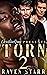 Torn 2: The Revenge