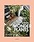 Ultimate Wonder Plants: Your Urban Jungle Interior