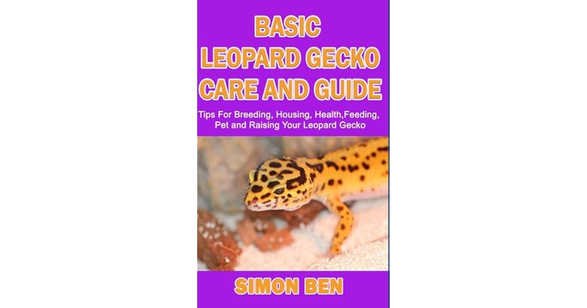 Basic Leopard Gecko Care and Guide Tips For Breeding, Housing, Health, Feeding, Pet and Raising