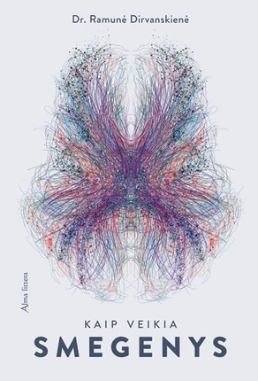 Kaip veikia smegenys (Paperback)