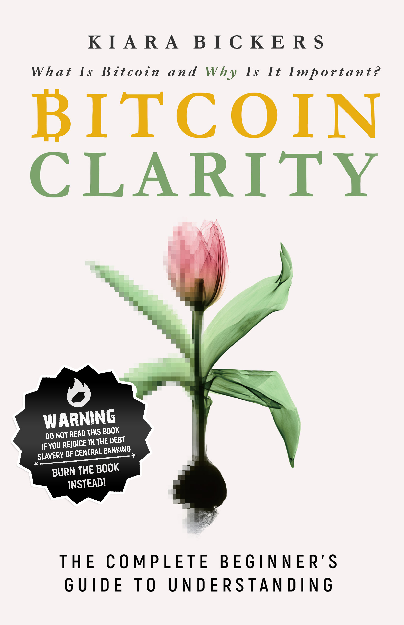 Bitcoin Clarity: The Complete Beginners Guide to Understanding (Paperback)