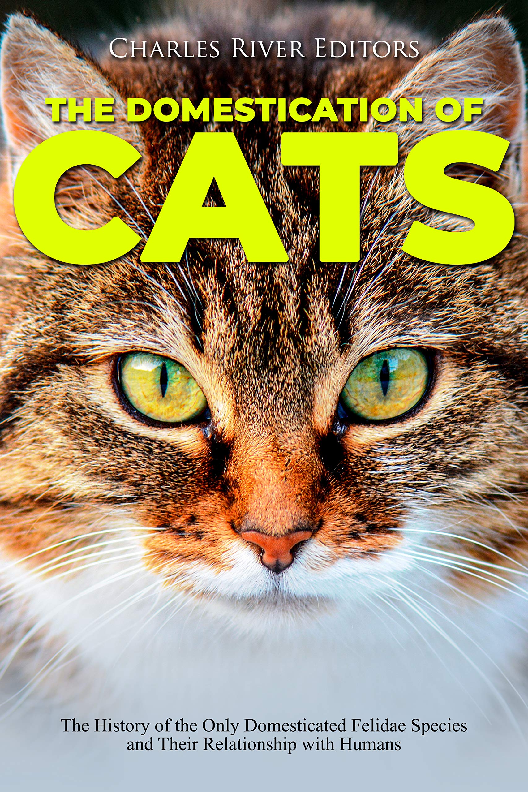 The Domestication of Cats: The History of the Only Domesticated Felidae Species and Their Relationship with Humans (Kindle Edition)