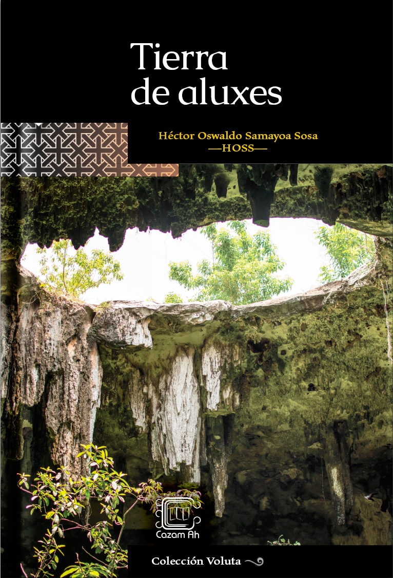 Tierra de aluxes (Paperback)