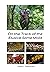 On the Track of the Elusive Slime Mold by Steve   Stephenson