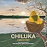 Chiluka: A Bird's Story