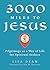 3000 Miles to Jesus