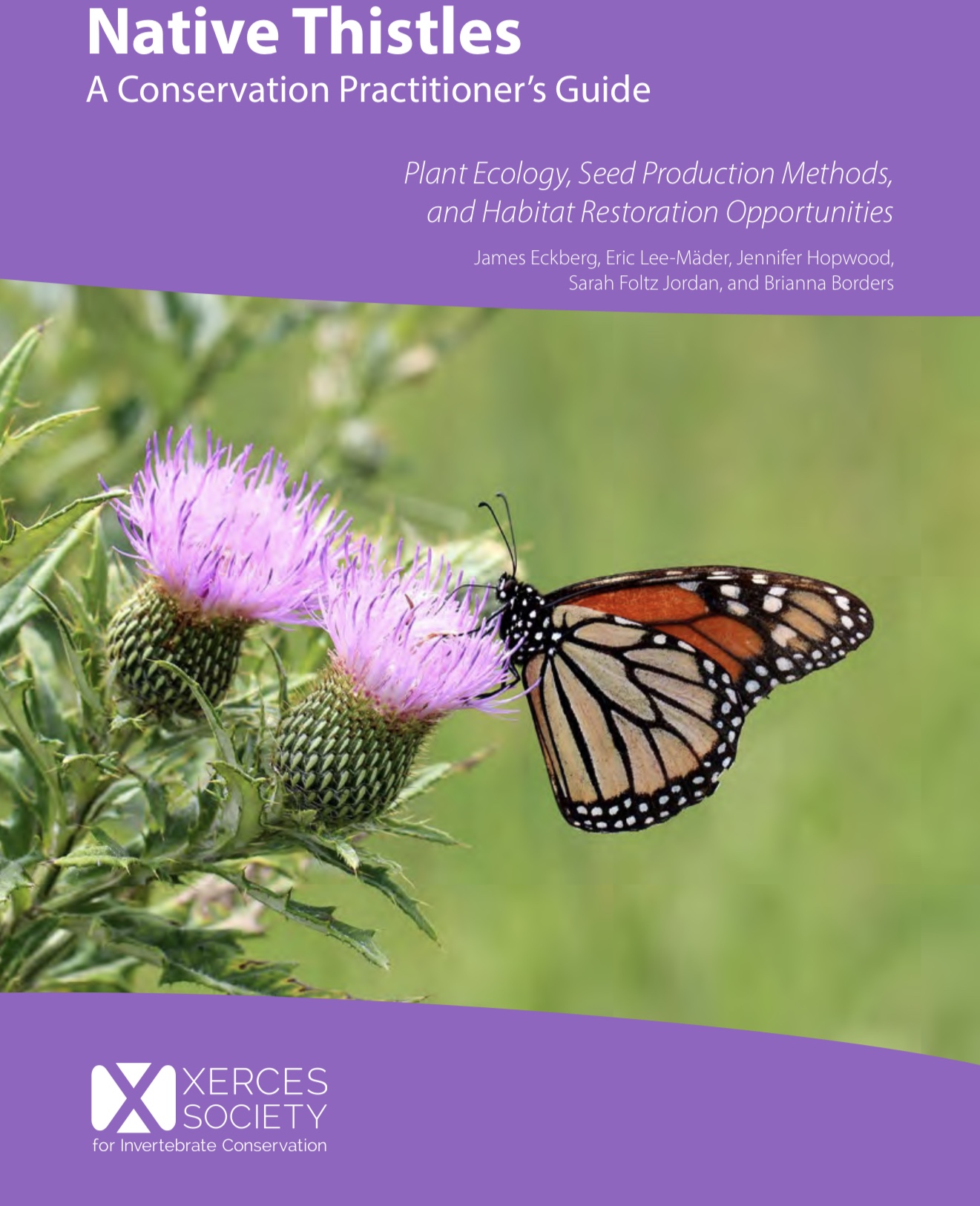 Native thistles a conservation practitioner’s guide