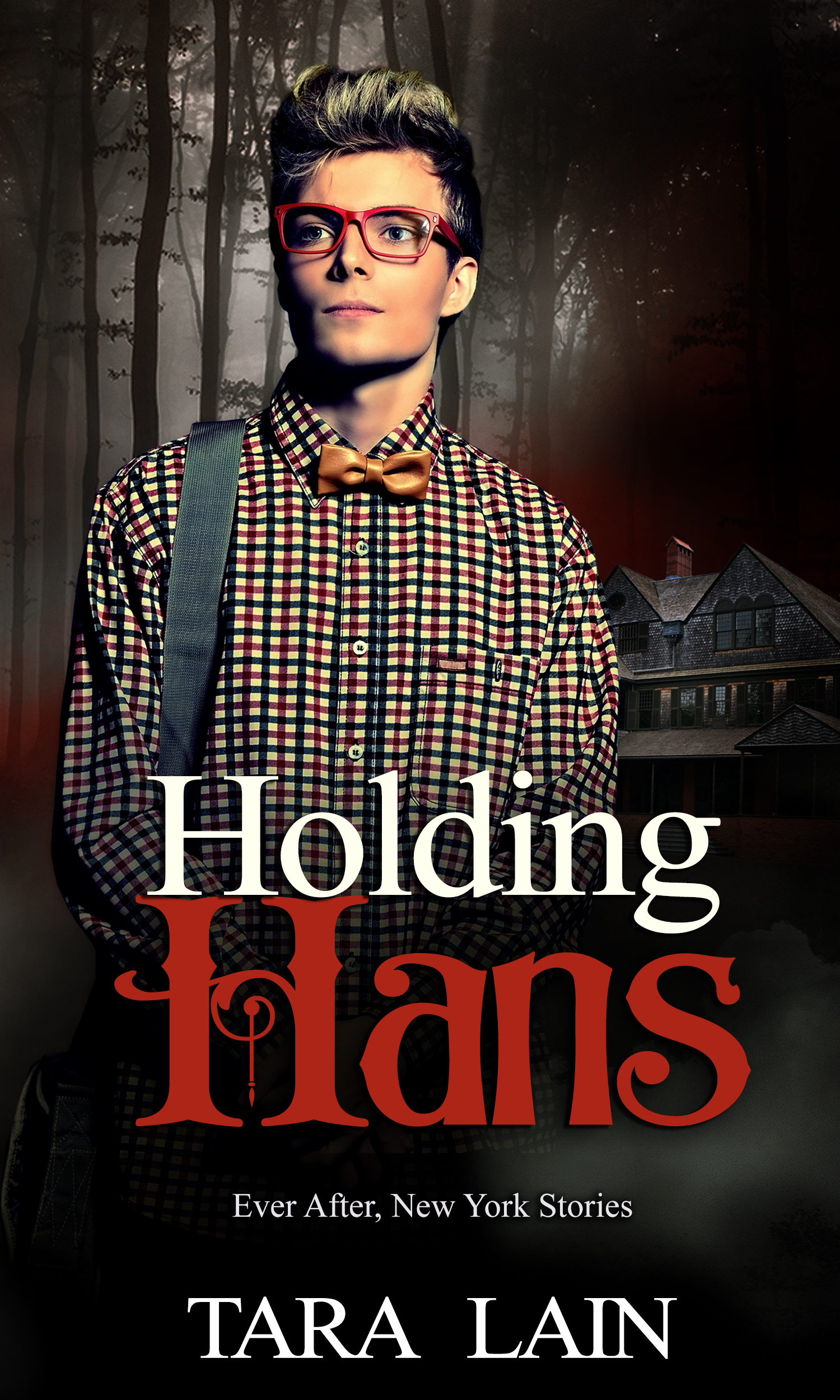 Holding Hans (Ever After, New York, #2)