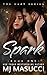 Spark (The Heat #1)