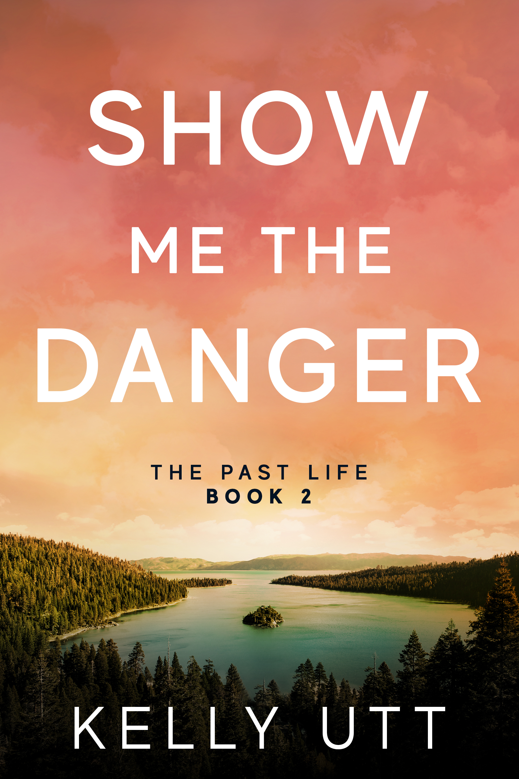 Show Me the Danger (Ithaca Falls #2)