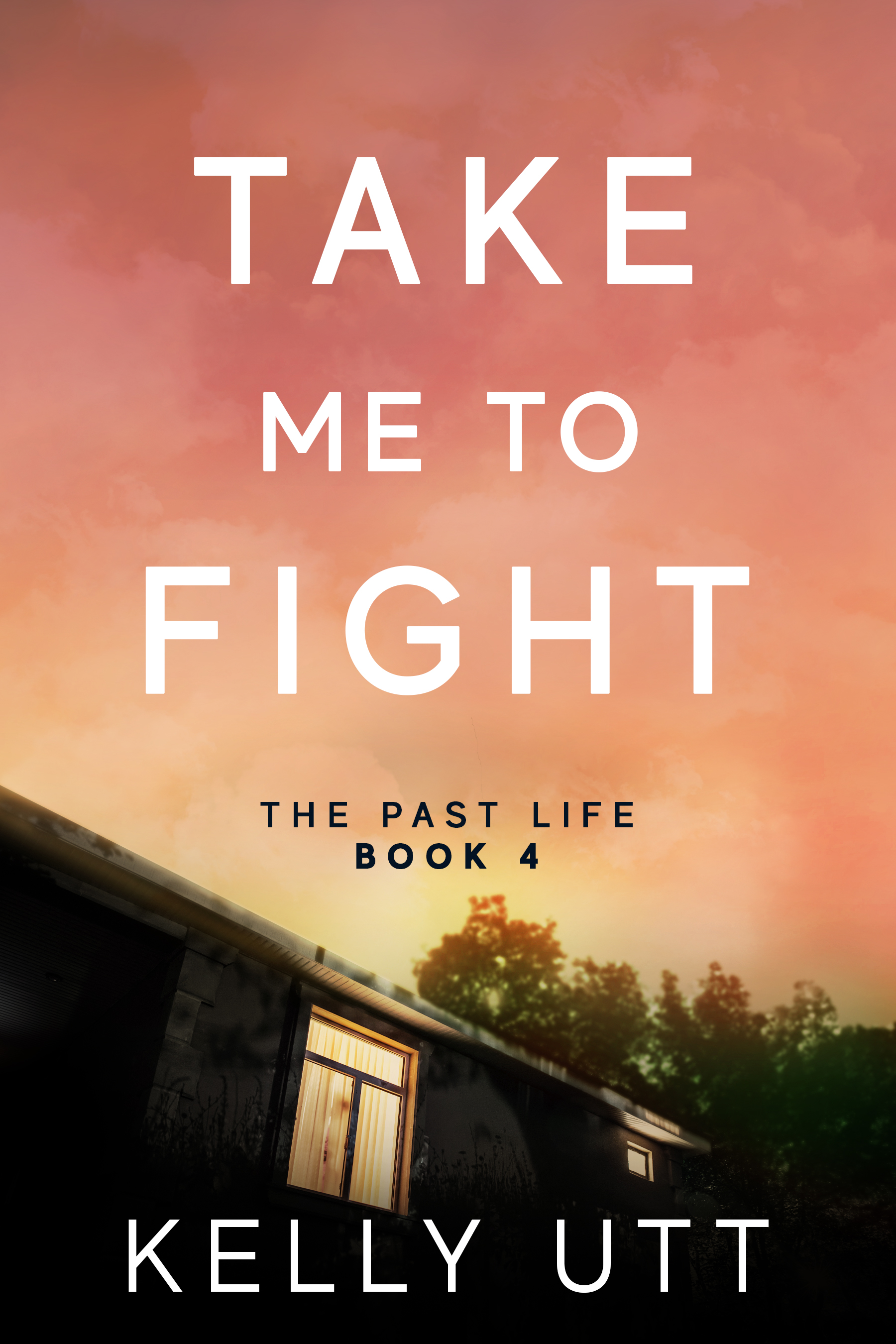 Take Me to Fight (Ithaca Falls #4)