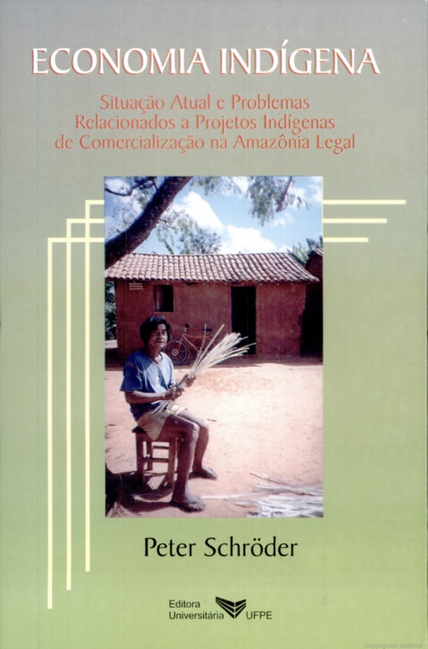 Economia indígena: situação atual e problemas relacionados a projetos indígenas de comercialização na Amazônia legal