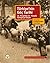 Türkiye’nin Göç Tarihi: 14. Yüzyıldan 21. Yüzyıla Türkiye’ye Göçler