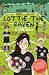 Lottie the Raven