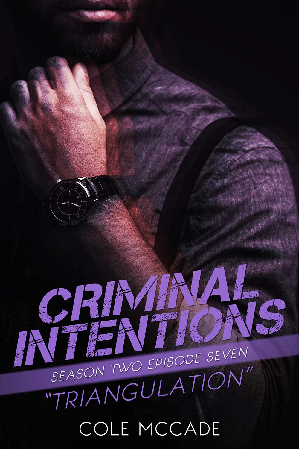 Triangulation (Criminal Intentions, #20)