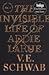 The Invisible Life of Addie LaRue by V.E. Schwab