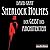 Sherlock Holmes: Der Geist des Architekten