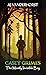 The Mostly Invisible Boy (Casey Grimes #1)