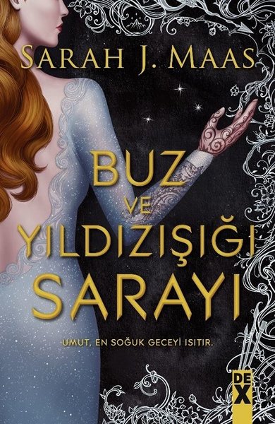Buz ve Yıldızışığı Sarayı (Dikenler ve Güller Sarayı, #4)